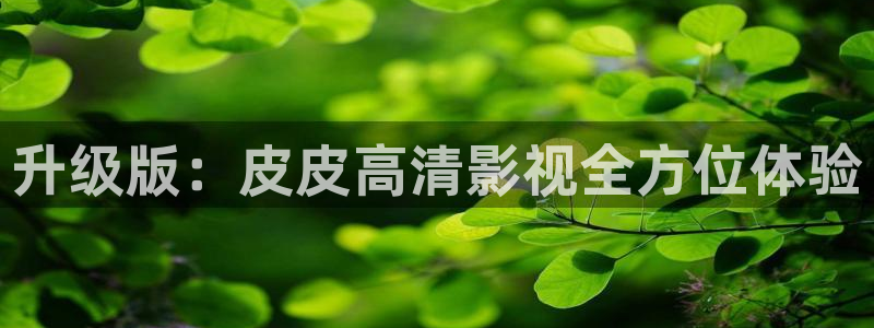 浮力屁屁影院：升级版：皮皮高清影视全方位体验