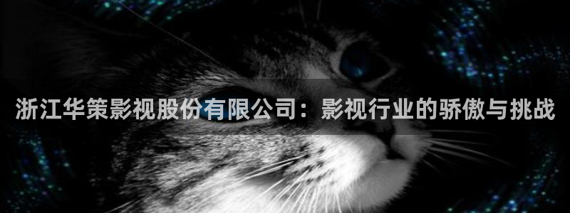 浮力影院最新版本：浙江华策影视股份有限公司：影视行业的骄傲与挑战