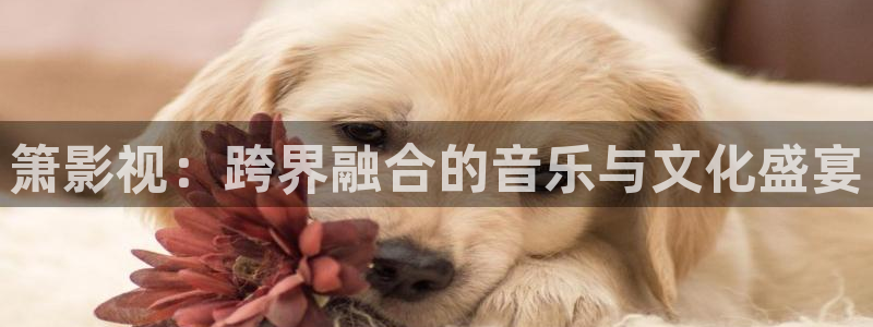 欧美精品浮力影院