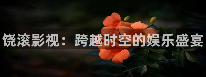 浮力影院第1页：饶滚影视：跨越时空的娱乐盛宴