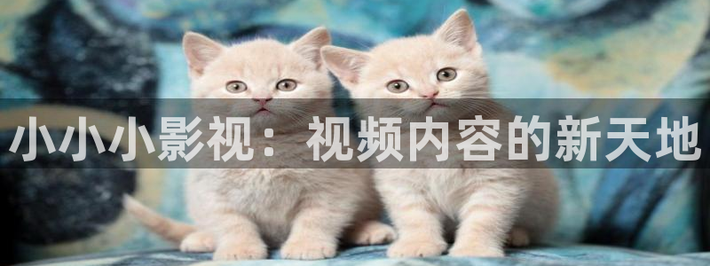 草草影院浮力线路：小小小影视：视频内容的新天地