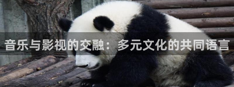 国产浮力影视：音乐与影视的交融：多元文化的共同语言
